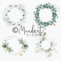 Preview: Designpapier Eucalyptus Kränze
