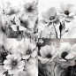 Preview: Designpapier Blumen schwarz/weiss