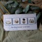 Preview: Designpapier Daisy