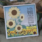 Preview: Stanzschablonen-Set Sonnenblume *