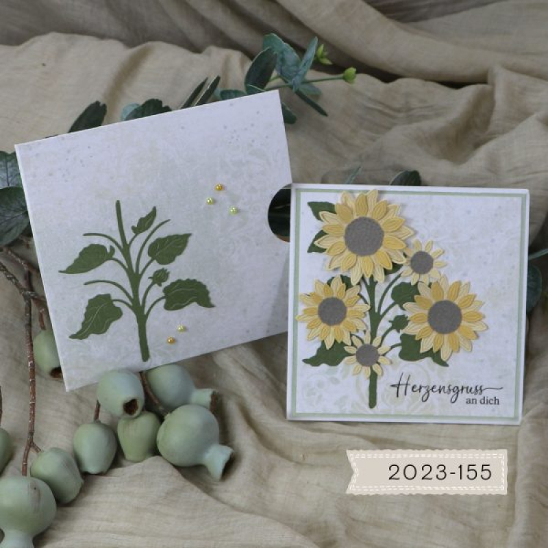 Anleitung Magnetkarte (Nicht in den Warenkorb legen! Download-Link in der Beschreibung)