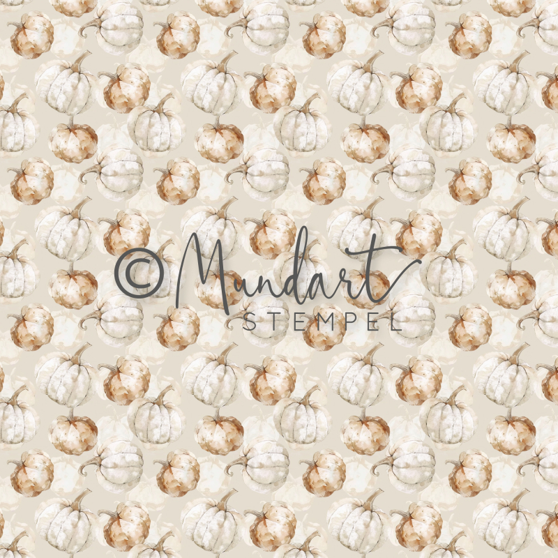 Designpapier Kürbisse weiss und beige