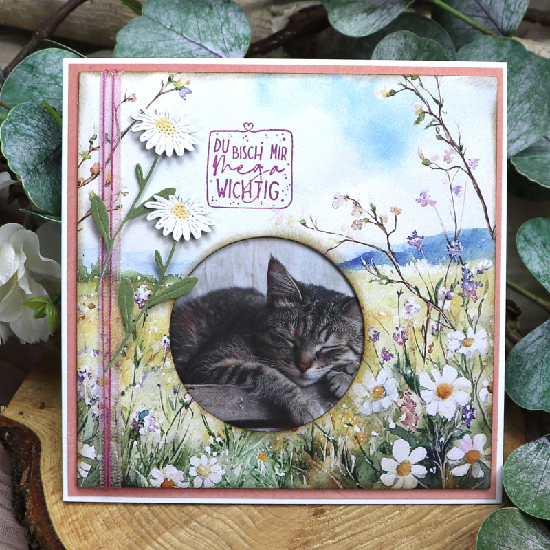 Stanzschablone Gänseblümchen