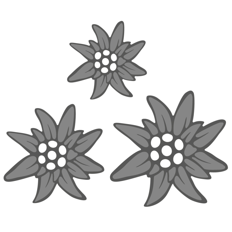 Stanzschablonen-Set Edelweiss