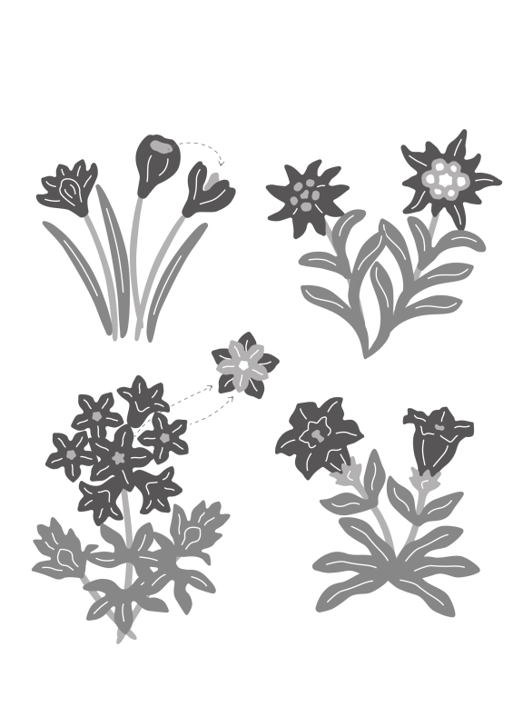 Stanzschablonen-Set Schweizer Blumen